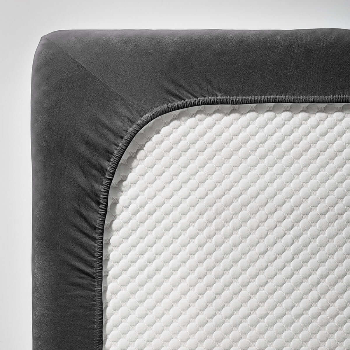 fleuresse single Jersey