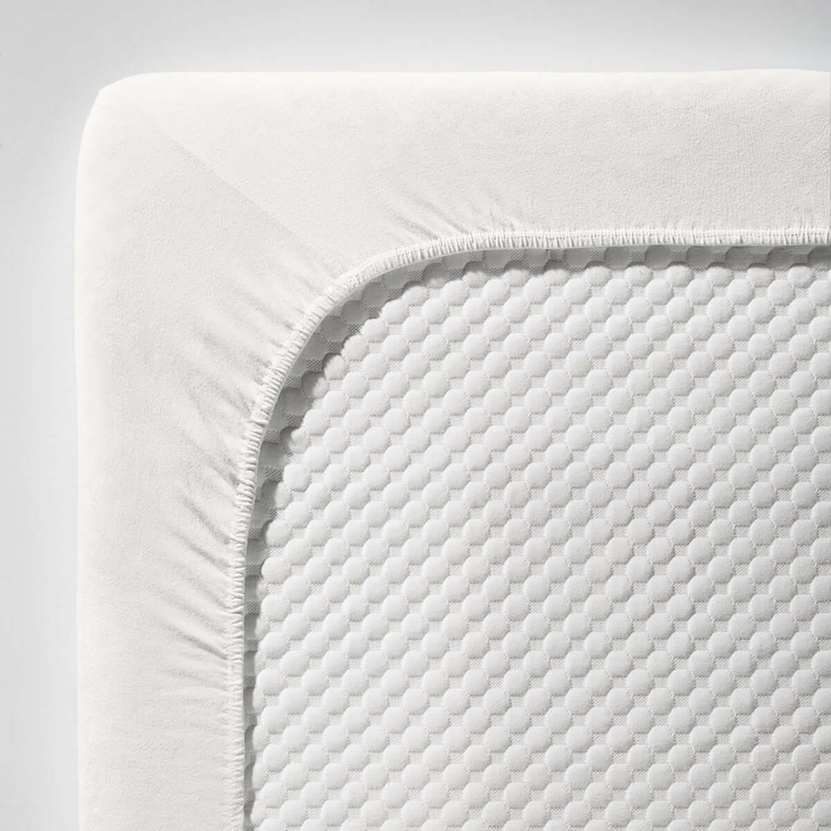 fleuresse single Jersey