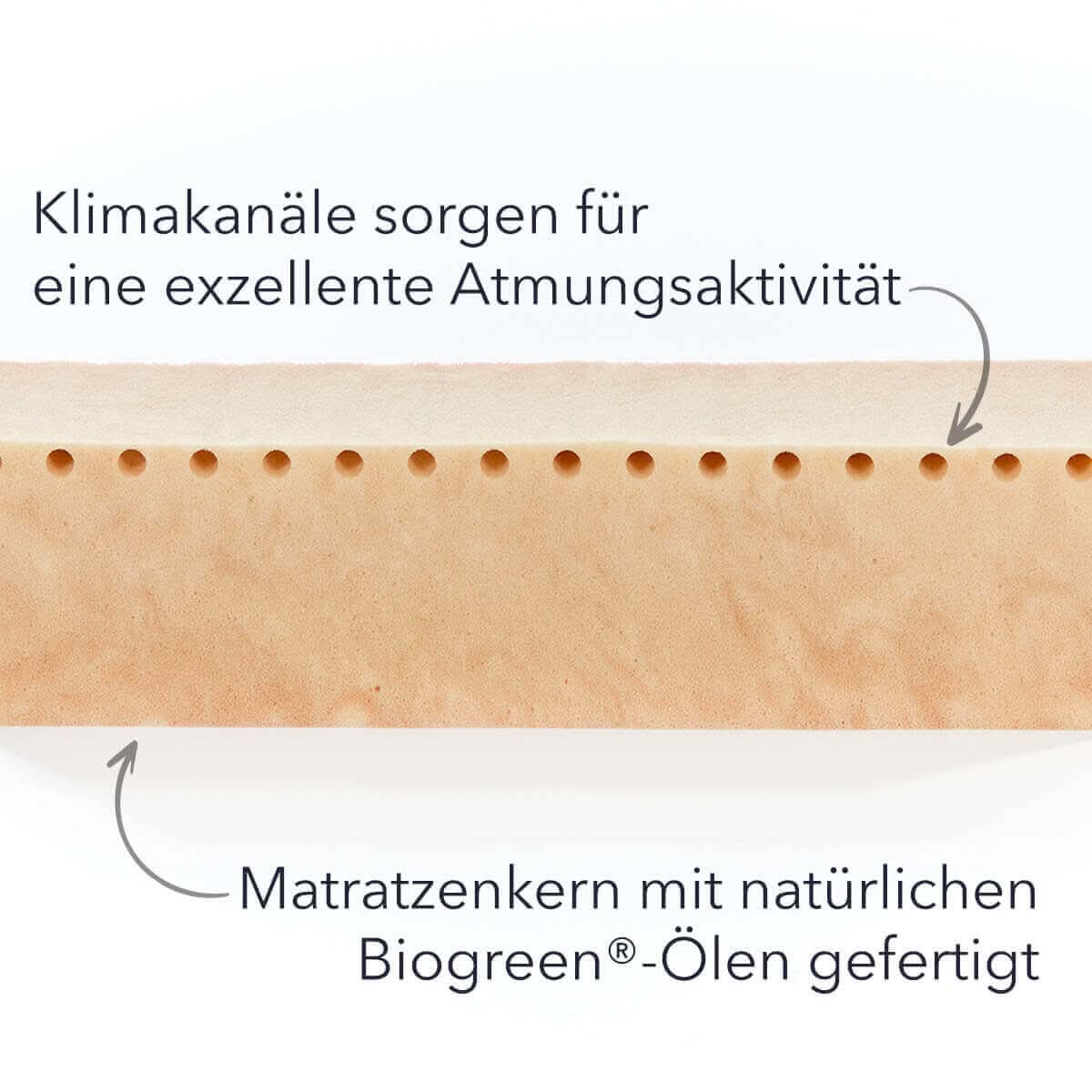 Babymatratzen Kern aus Biogreen Kaltschaum 