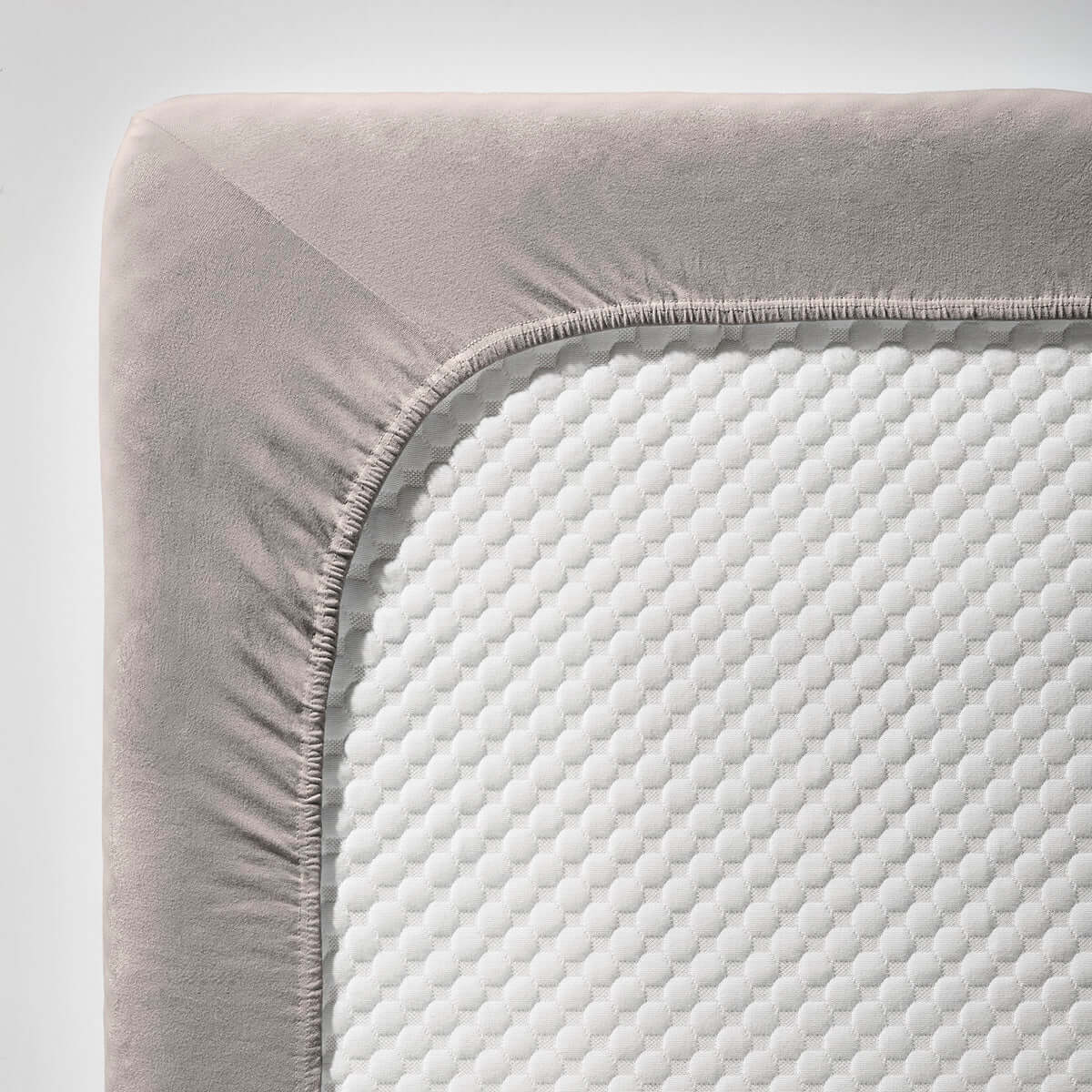 fleuresse single Jersey 