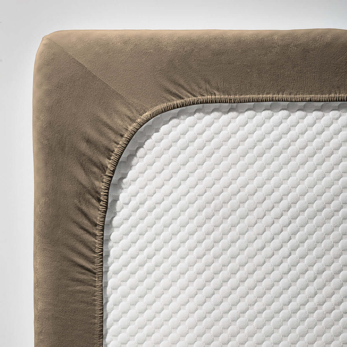 fleuresse single Jersey 