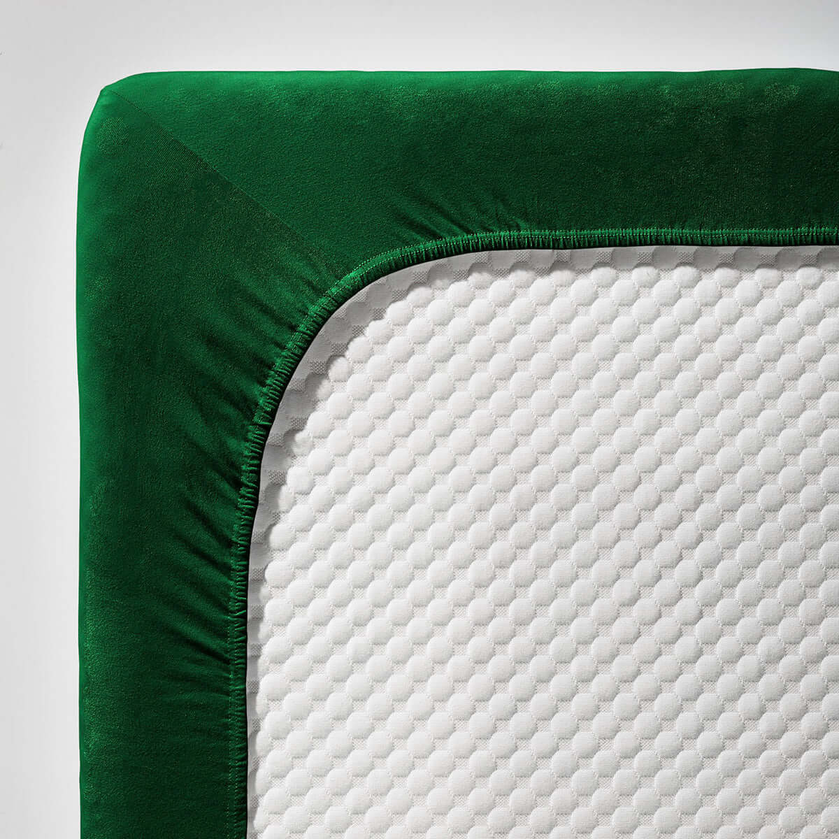 fleuresse single Jersey 