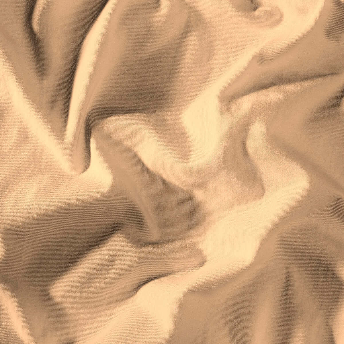 fleuresse single Jersey 