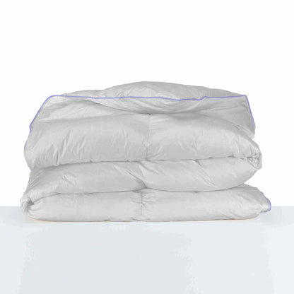 QUQON Couette en duvet d'eider Royal