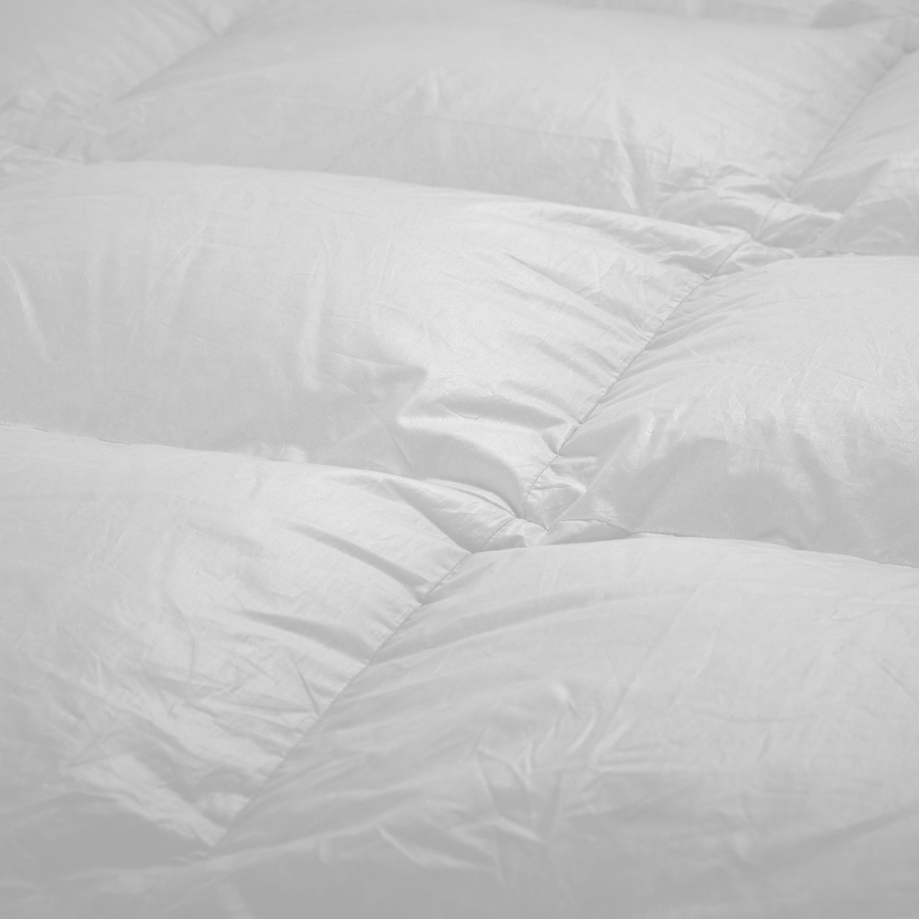 QUQON Couette en duvet d'eider Royal